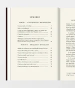 Sumário do livro São José, Guardião da Pureza